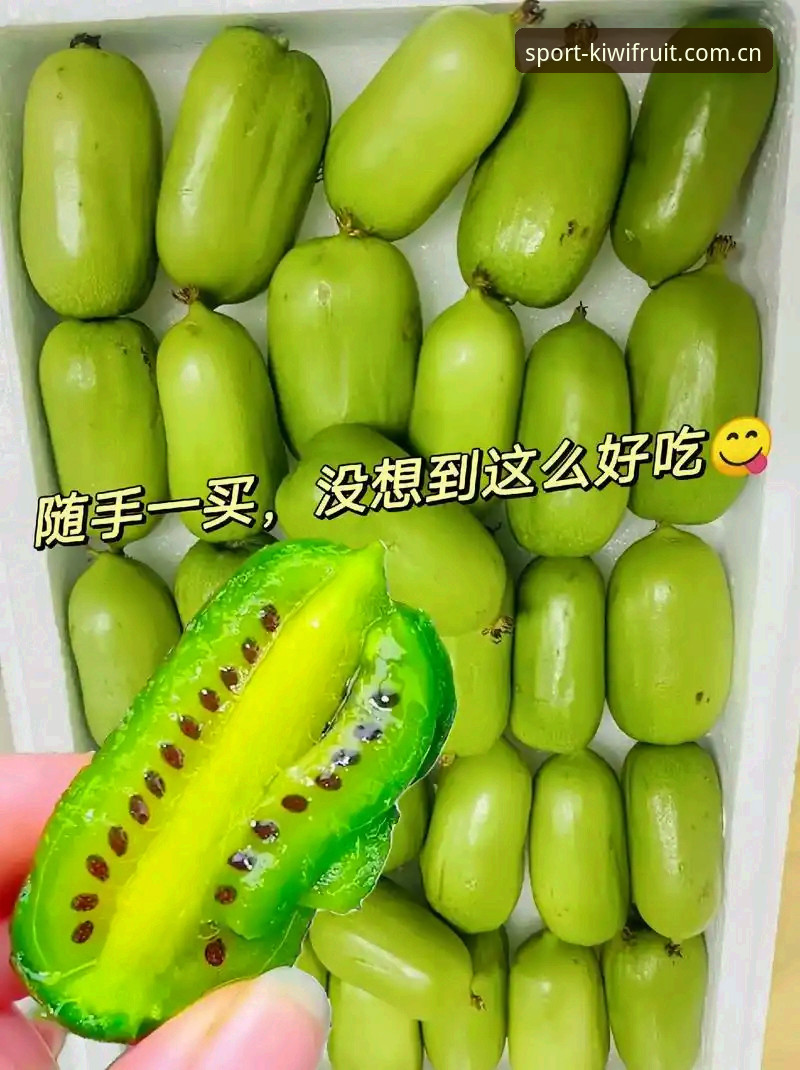 奇异果体育平台最新版下载安装全流程深度分析：从入门到精通的操作指南