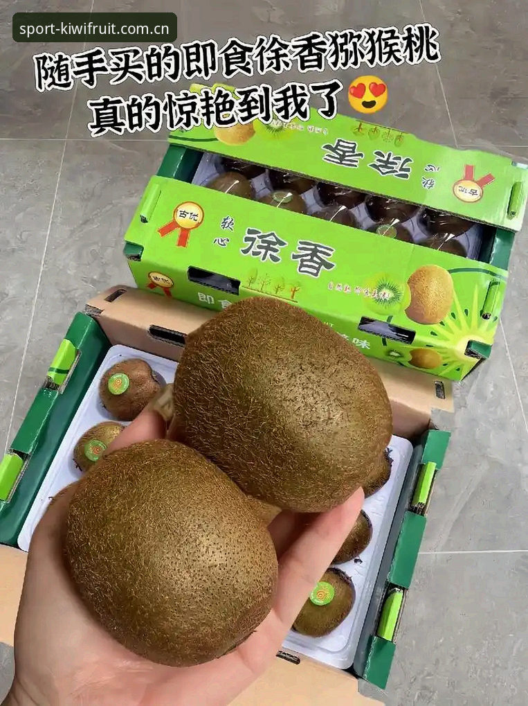 奇异果体育平台使用指南：新手入门与完整体验分享